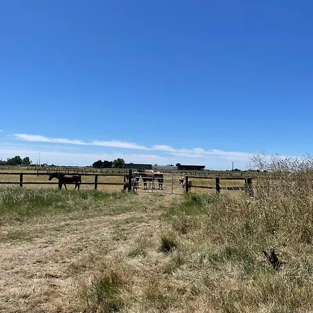 Maison Climatisee, 2 Gites, 2 Chambres, 15 Hectares, Loisirs, Animaux Acceptes - Fr-1-426-520 Prázdninový dům